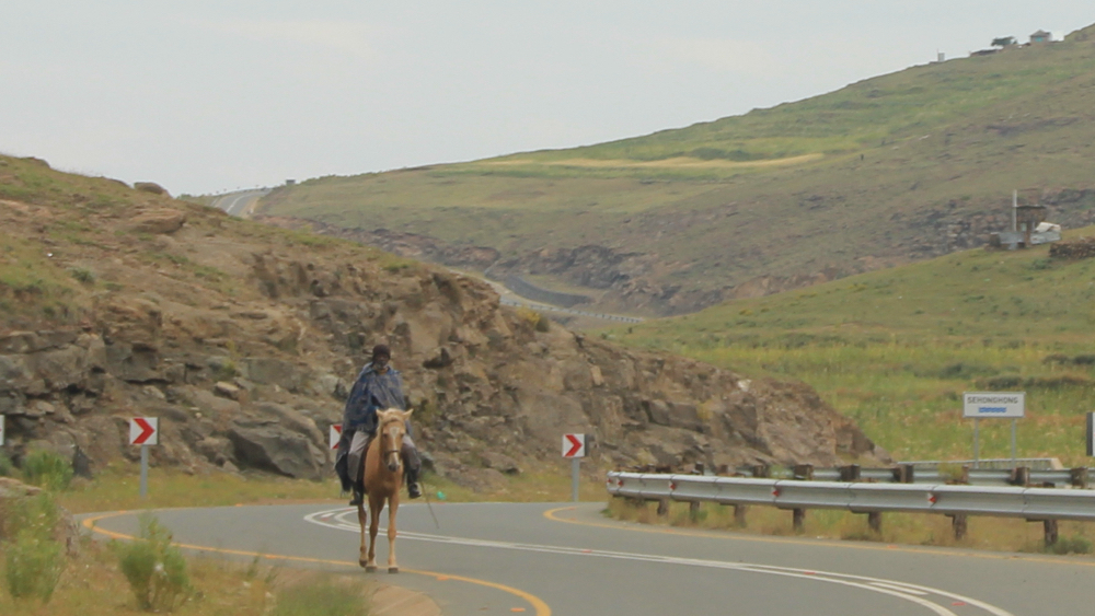A guy on a horse walking along the road.