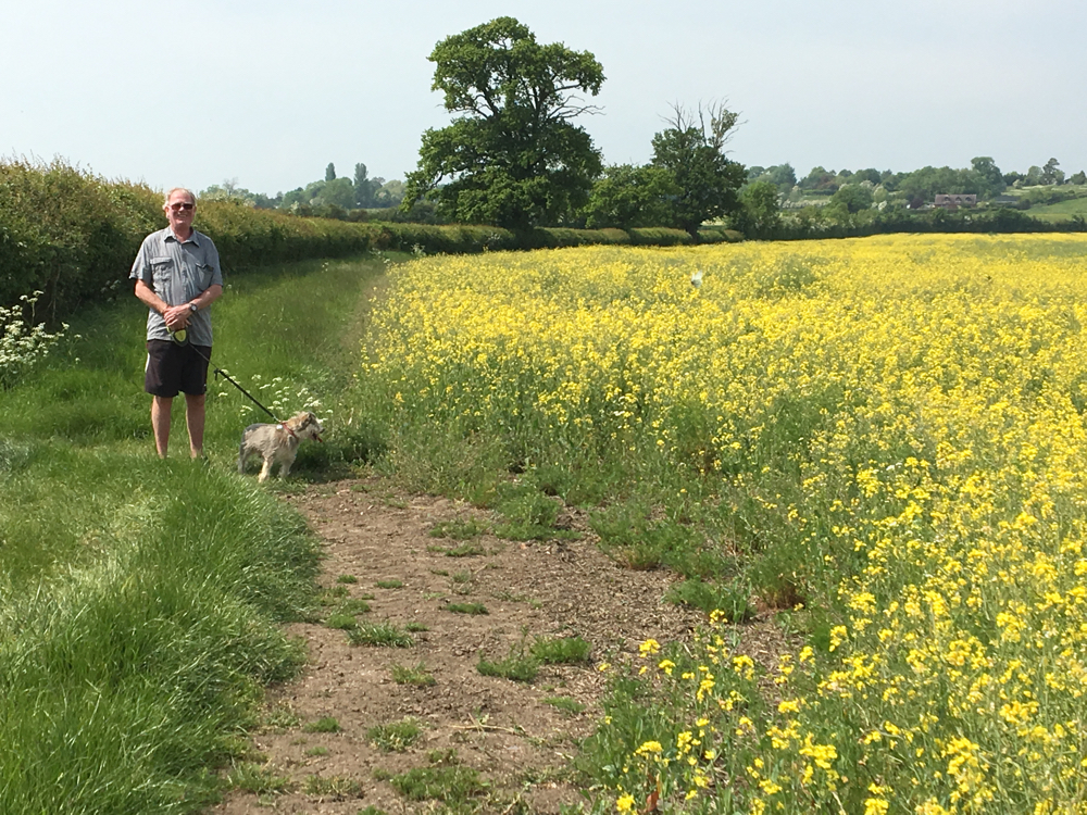 Kevin and Billy at the edge of a filed of yellow rapeseed flowers.