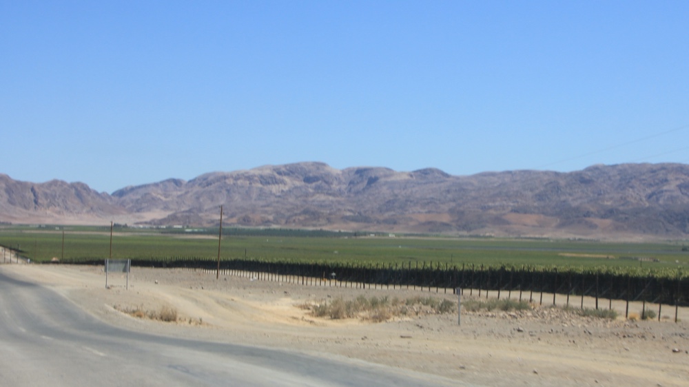 vineyards irrigated by The Orange river.