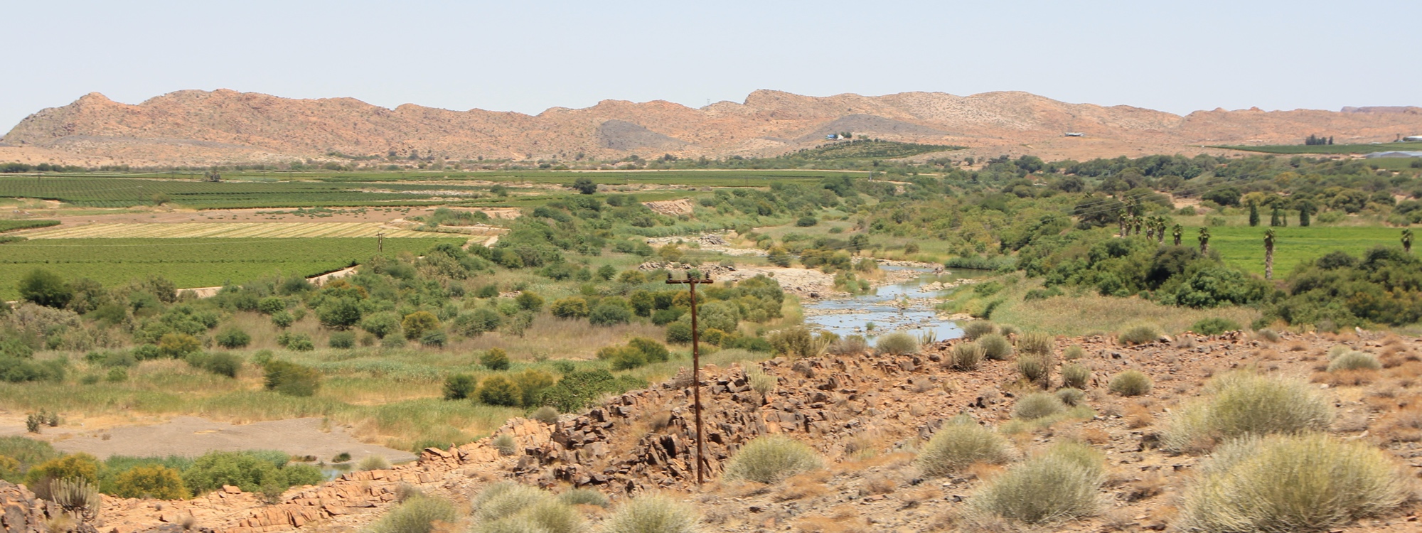 The Orange River with irrigated fields on either side.
