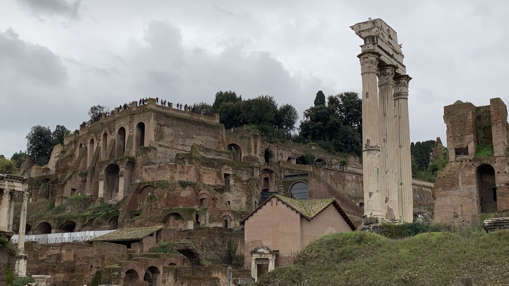 A view of the Palatine Hill from the Forum.