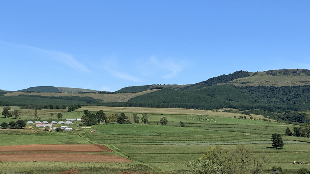 A farm surrounded by fields with forested hill behind.