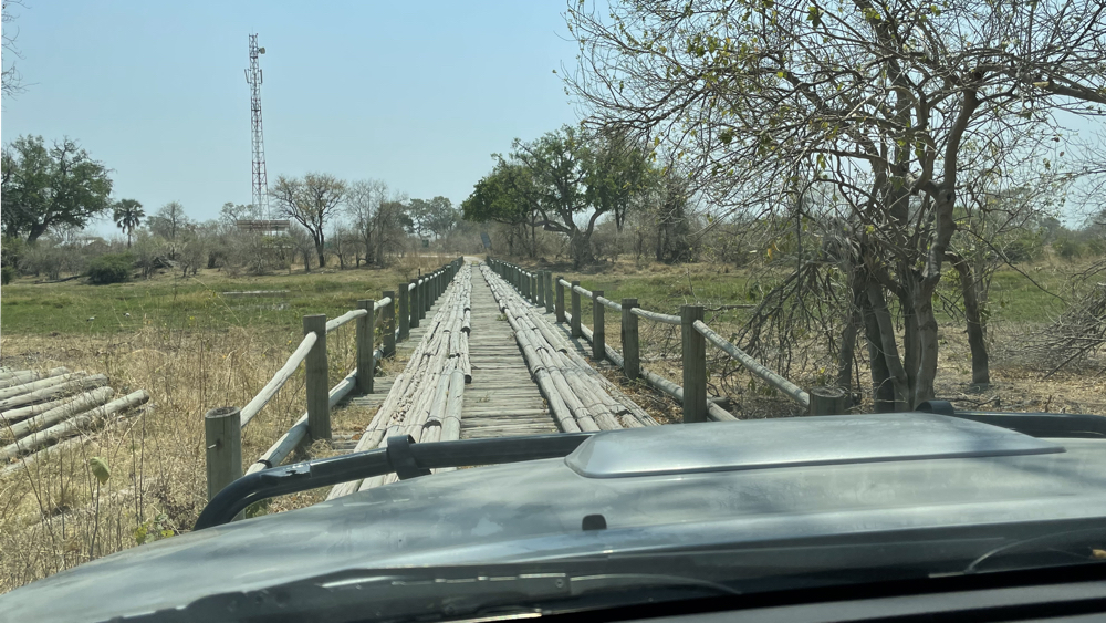 Crossing a wooden bridge over the Khwai RIver.