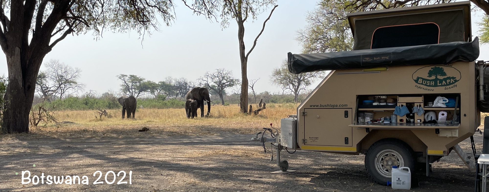 Our campsite in Khwai with 3 elephants behind us.