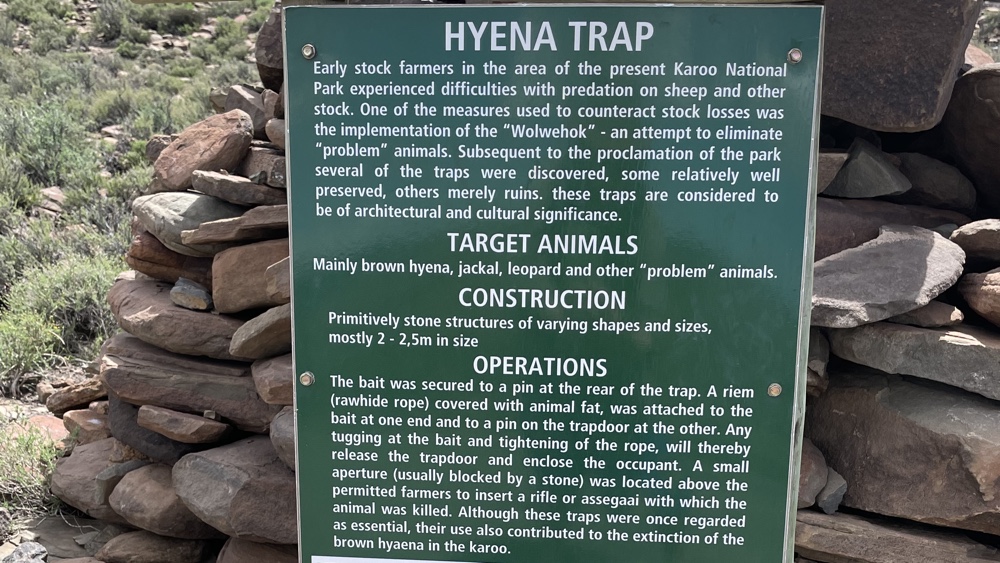A description of a hyena trap.