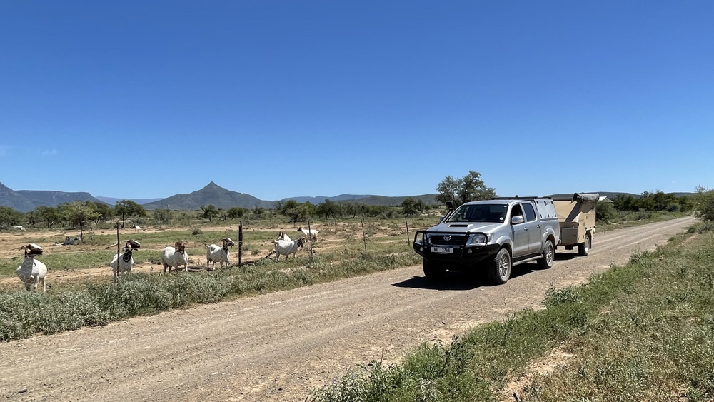 Our bakkie on a gravel road next to a field with goats checking us our.