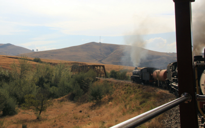 Aloe Festival - steam train ride.